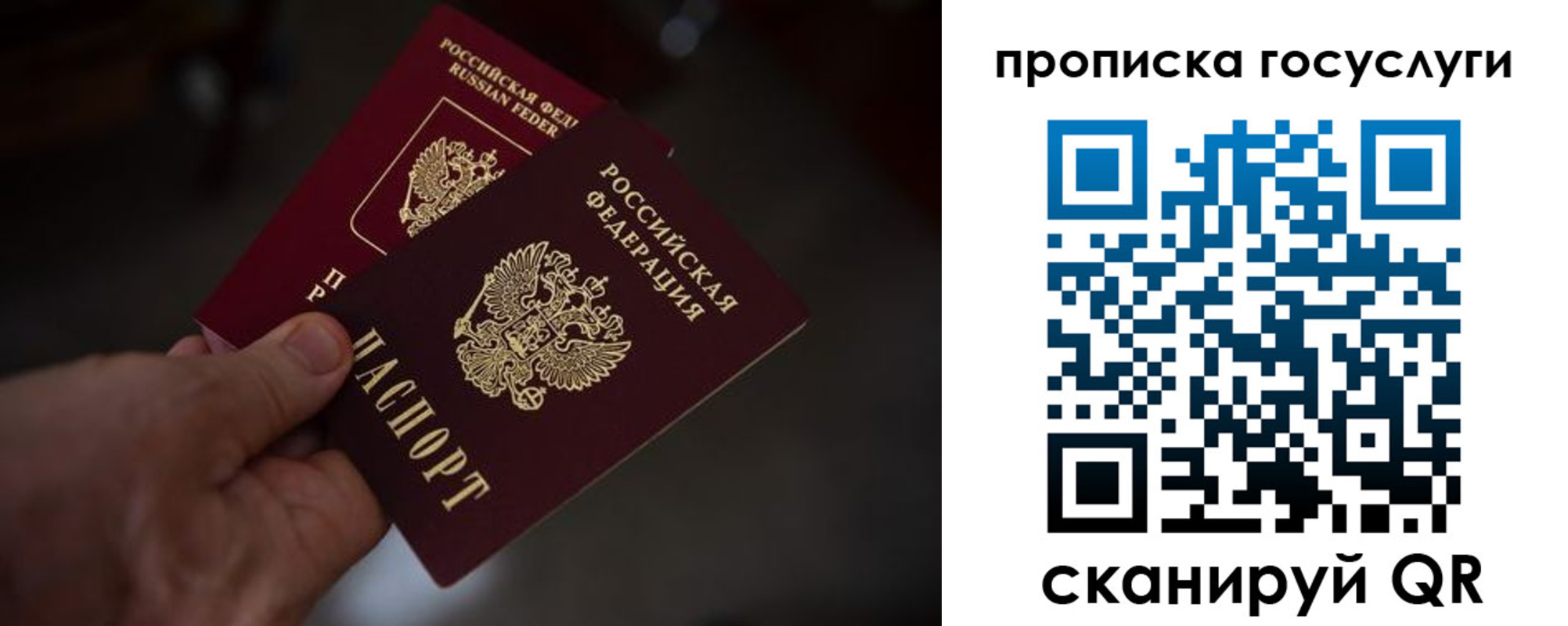 прописка ребенка в Выборге